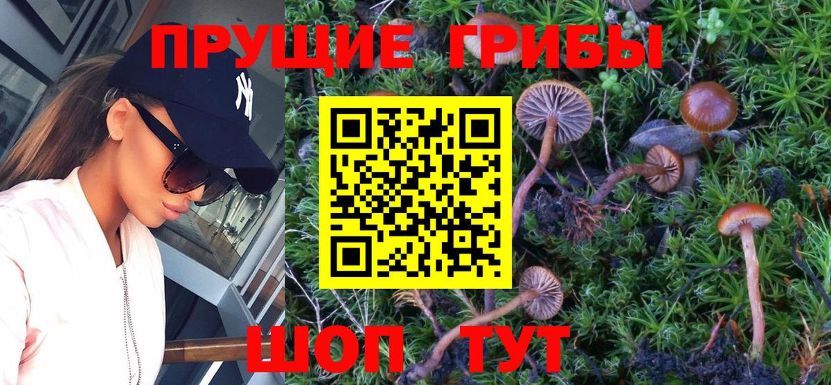 Старая Купавна  Псилоцибиновые грибы ЛСД  Вход с VPN 