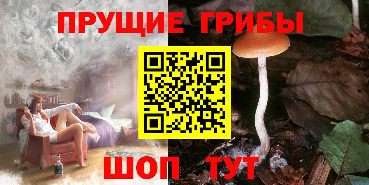 Галлюциногенные грибы GOLDEN TEACHER Старая Купавна